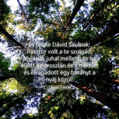 Picture 05 - 1 Sámuel 17:34 KAR - És felele Dávid Saulnak: Pásztor volt a te - Bible Verse Picture