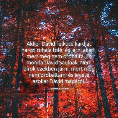 Picture 05 - 1 Sámuel 17:39 KAR - Akkor Dávid felköté kardját harczi ruhája - Bible Verse Picture