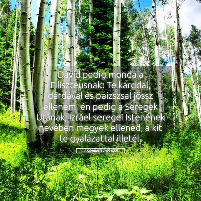 Picture 05 - 1 Sámuel 17:45 KAR - Dávid pedig monda a Filiszteusnak: Te karddal, - Bible Verse Picture