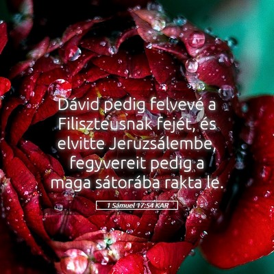 Picture 05 - 1 Sámuel 17:54 KAR - Dávid pedig felvevé a Filiszteusnak fejét, és - Bible Verse Picture