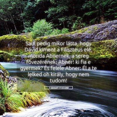 Picture 05 - 1 Sámuel 17:55 KAR - Saul pedig mikor látta, hogy Dávid kiment a - Bible Verse Picture