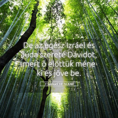Picture 05 - 1 Sámuel 18:16 KAR - De az egész Izráel és Júda szereté Dávidot, - Bible Verse Picture