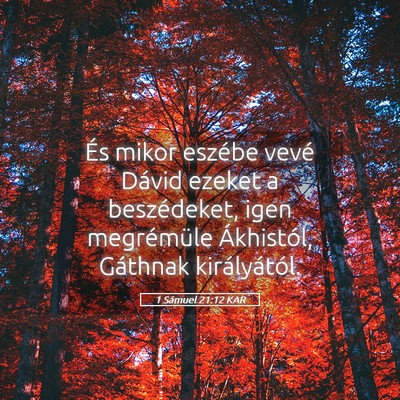 Picture 05 - 1 Sámuel 21:12 KAR - És mikor eszébe vevé Dávid ezeket a - Bible Verse Picture