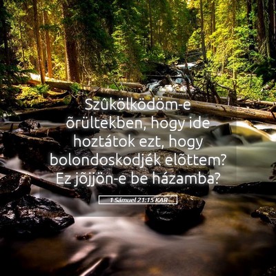 Picture 05 - 1 Sámuel 21:15 KAR - Szûkölködöm-e õrültekben, hogy ide - Bible Verse Picture