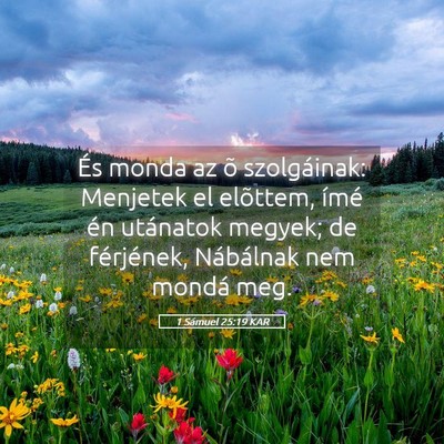 Picture 05 - 1 Sámuel 25:19 KAR - És monda az õ szolgáinak: Menjetek el - Bible Verse Picture