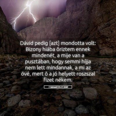 Picture 05 - 1 Sámuel 25:21 KAR - Dávid pedig [azt] mondotta volt: Bizony hiába - Bible Verse Picture