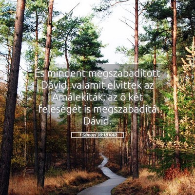 Picture 05 - 1 Sámuel 30:18 KAR - És mindent megszabadított Dávid, valamit - Bible Verse Picture