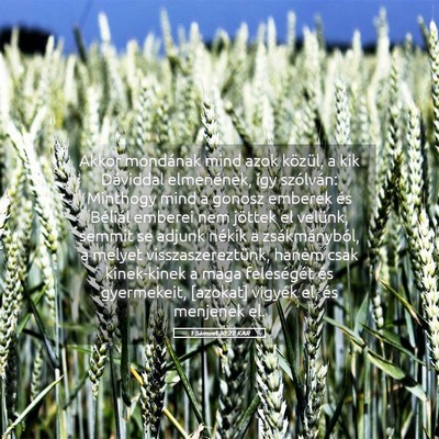Picture 05 - 1 Sámuel 30:22 KAR - Akkor mondának mind azok közül, a kik - Bible Verse Picture