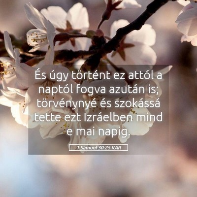 Picture 05 - 1 Sámuel 30:25 KAR - És úgy történt ez attól a naptól fogva - Bible Verse Picture