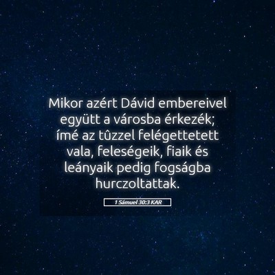 Picture 05 - 1 Sámuel 30:3 KAR - Mikor azért Dávid embereivel együtt a városba - Bible Verse Picture