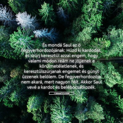 Picture 05 - 1 Sámuel 31:4 KAR - És mondá Saul az õ fegyverhordozójának: - Bible Verse Picture