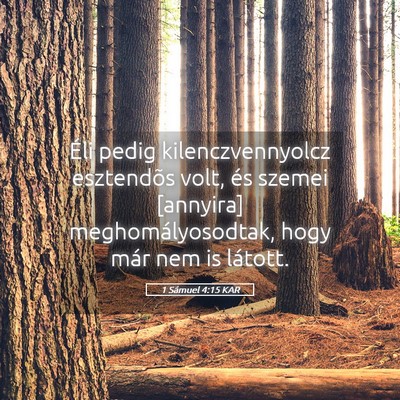 Picture 05 - 1 Sámuel 4:15 KAR - Éli pedig kilenczvennyolcz esztendõs volt, és - Bible Verse Picture