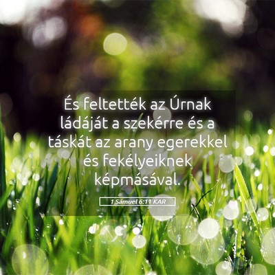 Picture 05 - 1 Sámuel 6:11 KAR - És feltették az Úrnak ládáját a szekérre - Bible Verse Picture