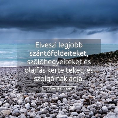 Picture 05 - 1 Sámuel 8:14 KAR - Elveszi legjobb szántóföldeiteket, - Bible Verse Picture