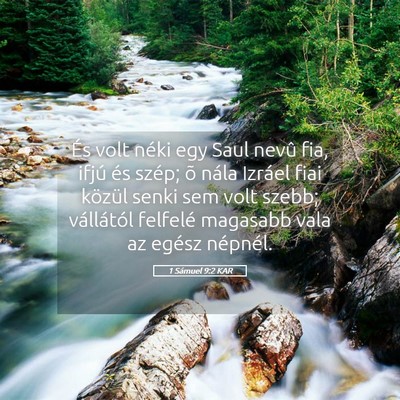 Picture 05 - 1 Sámuel 9:2 KAR - És volt néki egy Saul nevû fia, ifjú és - Bible Verse Picture