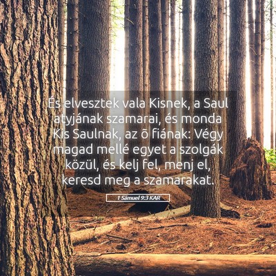 Picture 05 - 1 Sámuel 9:3 KAR - És elvesztek vala Kisnek, a Saul atyjának - Bible Verse Picture