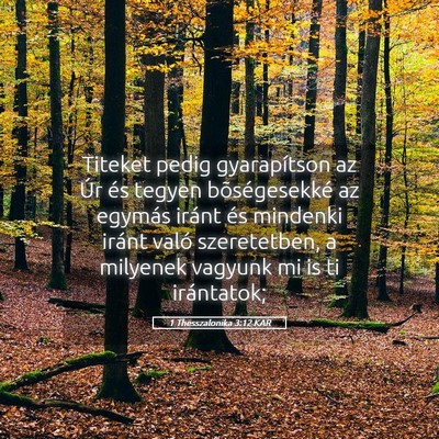 Picture 05 - 1 Thesszalonika 3:12 KAR - Titeket pedig gyarapítson az Úr és tegyen - Bible Verse Picture