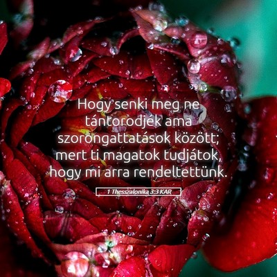 Picture 05 - 1 Thesszalonika 3:3 KAR - Hogy senki meg ne tántorodjék ama - Bible Verse Picture