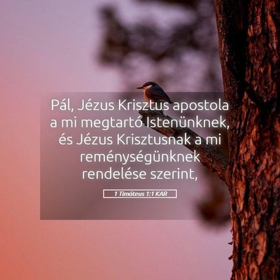 Picture 05 - 1 Timóteus 1:1 KAR - Pál, Jézus Krisztus apostola a mi megtartó - Bible Verse Picture