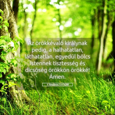 Picture 05 - 1 Timóteus 1:17 KAR - Az örökkévaló királynak pedig, a - Bible Verse Picture