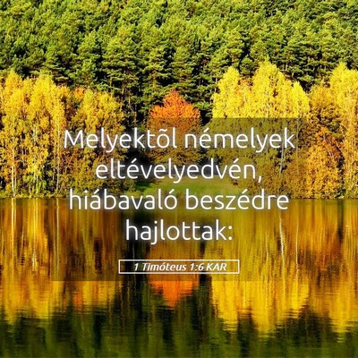 Picture 05 - 1 Timóteus 1:6 KAR - Melyektõl némelyek eltévelyedvén, hiábavaló - Bible Verse Picture