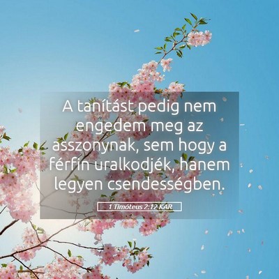Picture 05 - 1 Timóteus 2:12 KAR - A tanítást pedig nem engedem meg az asszonynak, - Bible Verse Picture