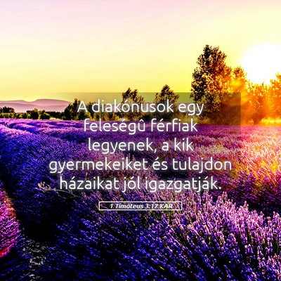 Picture 05 - 1 Timóteus 3:12 KAR - A diakónusok egy feleségû férfiak legyenek, a - Bible Verse Picture