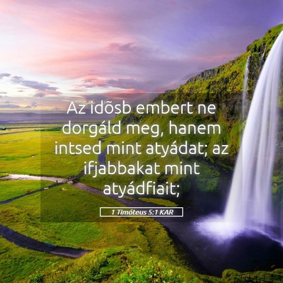 Picture 05 - 1 Timóteus 5:1 KAR - Az idõsb embert ne dorgáld meg, hanem intsed - Bible Verse Picture