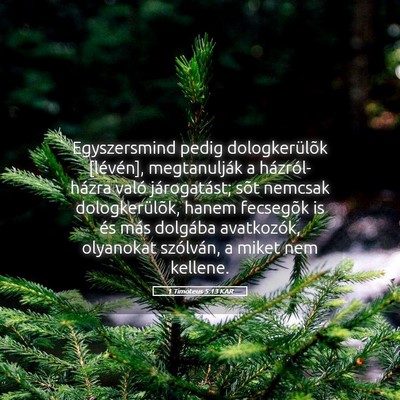 Picture 05 - 1 Timóteus 5:13 KAR - Egyszersmind pedig dologkerülõk [lévén], - Bible Verse Picture