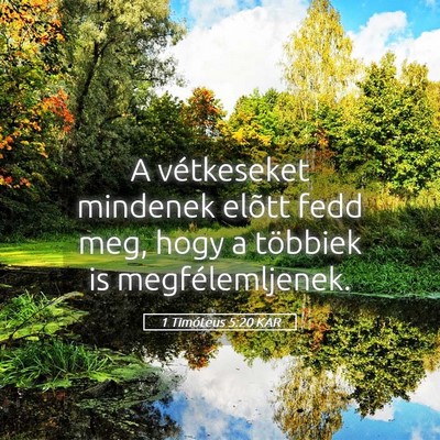 Picture 05 - 1 Timóteus 5:20 KAR - A vétkeseket mindenek elõtt fedd meg, hogy a - Bible Verse Picture