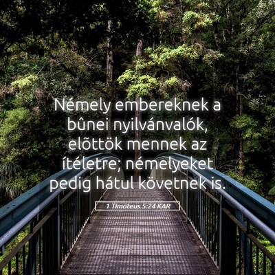 Picture 05 - 1 Timóteus 5:24 KAR - Némely embereknek a bûnei nyilvánvalók, - Bible Verse Picture