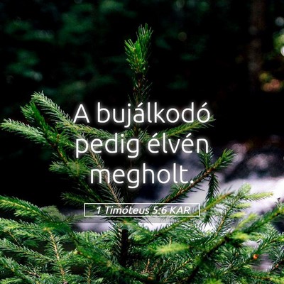 Picture 05 - 1 Timóteus 5:6 KAR - A bujálkodó pedig élvén - Bible Verse Picture