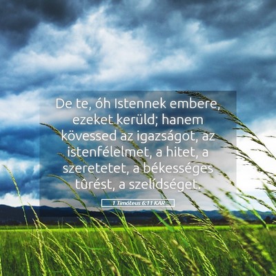 Picture 05 - 1 Timóteus 6:11 KAR - De te, óh Istennek embere, ezeket kerüld; hanem - Bible Verse Picture