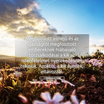 Picture 05 - 1 Timóteus 6:5 KAR - Megbomlott elméjû és az igazságtól - Bible Verse Picture