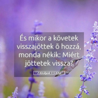 Picture 05 - 2 Királyok 1:5 KAR - És mikor a követek visszajöttek õ hozzá, - Bible Verse Picture
