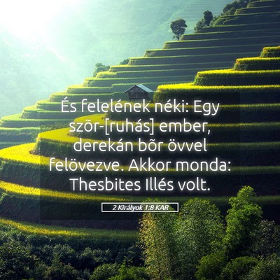 Picture 05 - 2 Királyok 1:8 KAR - És felelének néki: Egy szõr-[ruhás] ember, - Bible Verse Picture