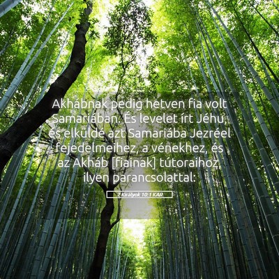 Picture 05 - 2 Királyok 10:1 KAR - Akhábnak pedig hetven fia volt Samariában. És - Bible Verse Picture