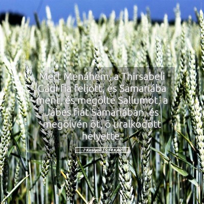Picture 05 - 2 Királyok 15:14 KAR - Mert Menáhem, a Thirsabeli Gádi fia feljött, - Bible Verse Picture