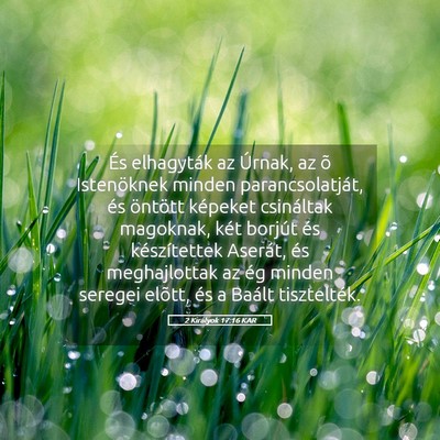 Picture 05 - 2 Királyok 17:16 KAR - És elhagyták az Úrnak, az õ Istenöknek - Bible Verse Picture