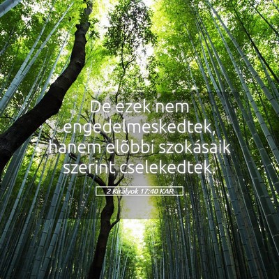 Picture 05 - 2 Királyok 17:40 KAR - De ezek nem engedelmeskedtek, hanem elõbbi - Bible Verse Picture