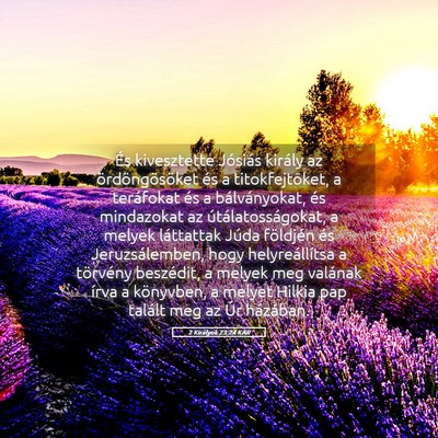 Picture 05 - 2 Királyok 23:24 KAR - És kivesztette Jósiás király az - Bible Verse Picture