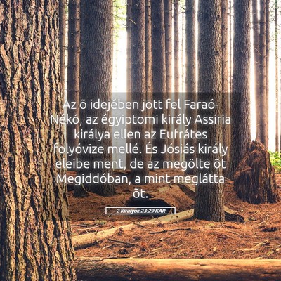 Picture 05 - 2 Királyok 23:29 KAR - Az õ idejében jött fel Faraó-Nékó, az - Bible Verse Picture