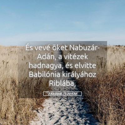 Picture 05 - 2 Királyok 25:20 KAR - És vevé õket Nabuzár-Adán, a vitézek - Bible Verse Picture