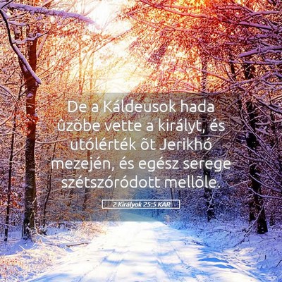 Picture 05 - 2 Királyok 25:5 KAR - De a Káldeusok hada ûzõbe vette a királyt, - Bible Verse Picture