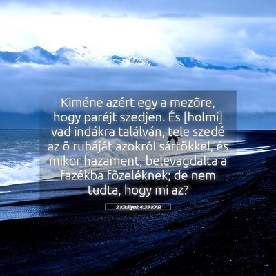 Picture 05 - 2 Királyok 4:39 KAR - Kiméne azért egy a mezõre, hogy paréjt - Bible Verse Picture