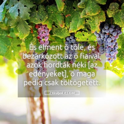 Picture 05 - 2 Királyok 4:5 KAR - És elment õ tõle, és bezárkózott az õ - Bible Verse Picture