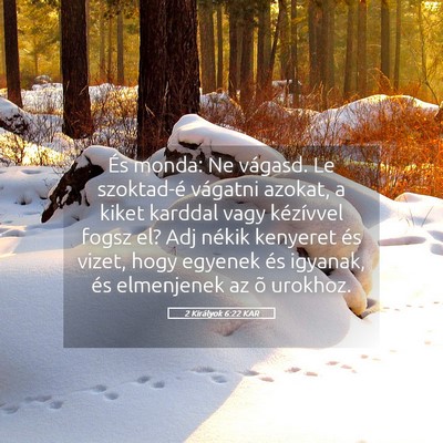 Picture 05 - 2 Királyok 6:22 KAR - És monda: Ne vágasd. Le szoktad-é vágatni - Bible Verse Picture