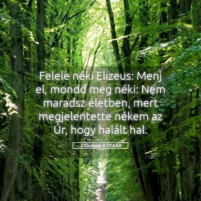 Picture 05 - 2 Királyok 8:10 KAR - Felele néki Elizeus: Menj el, mondd meg néki: - Bible Verse Picture