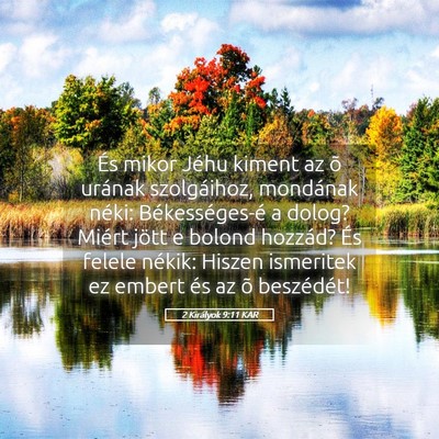 Picture 05 - 2 Királyok 9:11 KAR - És mikor Jéhu kiment az õ urának szolgáihoz, - Bible Verse Picture