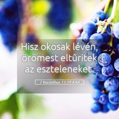 Picture 05 - 2 Korinthus 11:19 KAR - Hisz okosak lévén, örömest eltûritek az - Bible Verse Picture